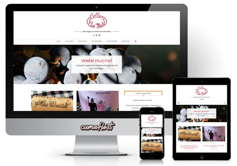 CPanel Dashboard Tampilan Jadul